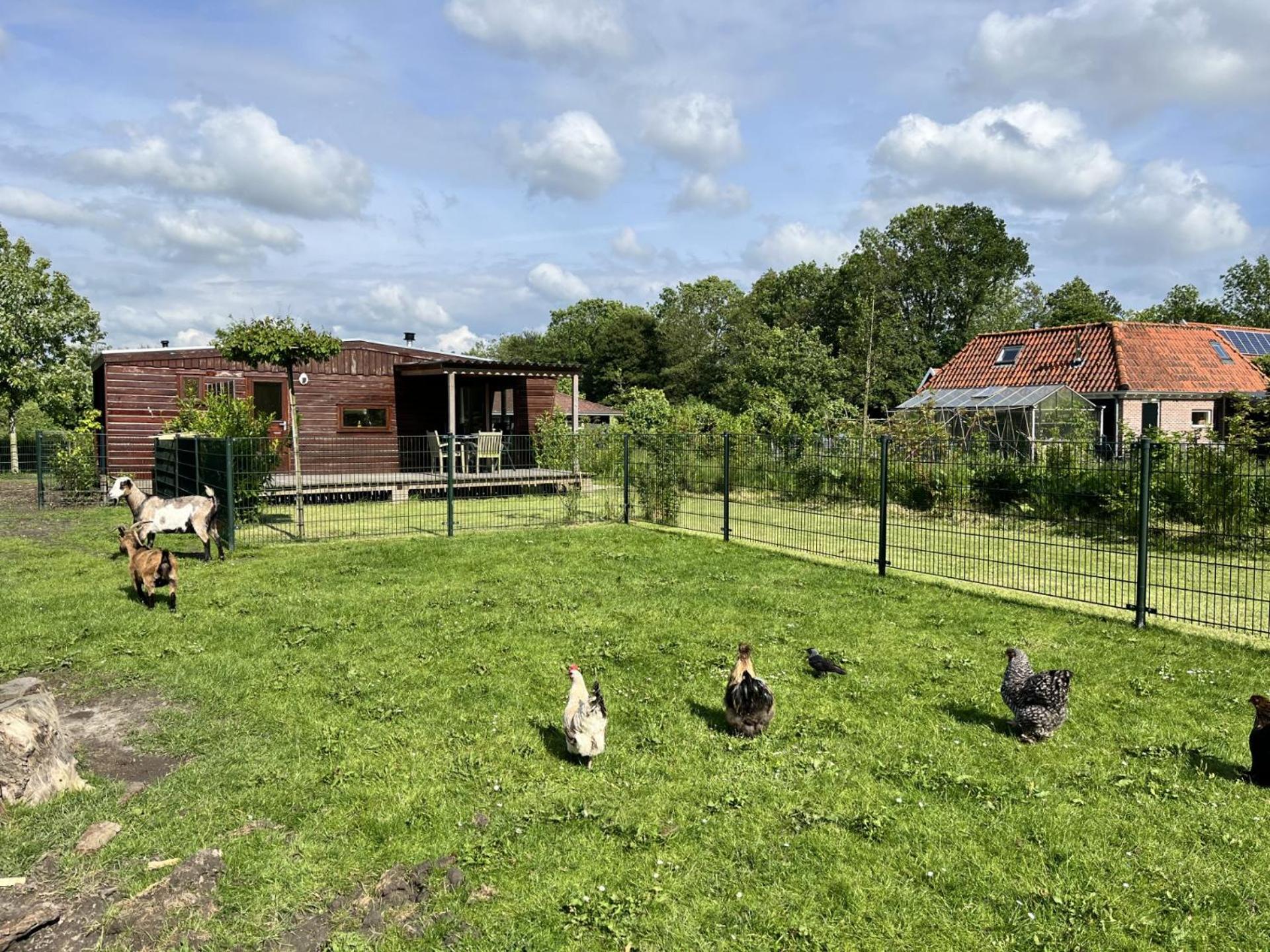 Vrijstaand Chalet Met Veel Buitenruimte En Veranda Zuid-Scharwoude Esterno foto